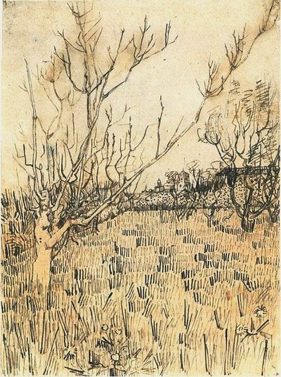 Orchard with Arles in the Background by Vincent van Gogh